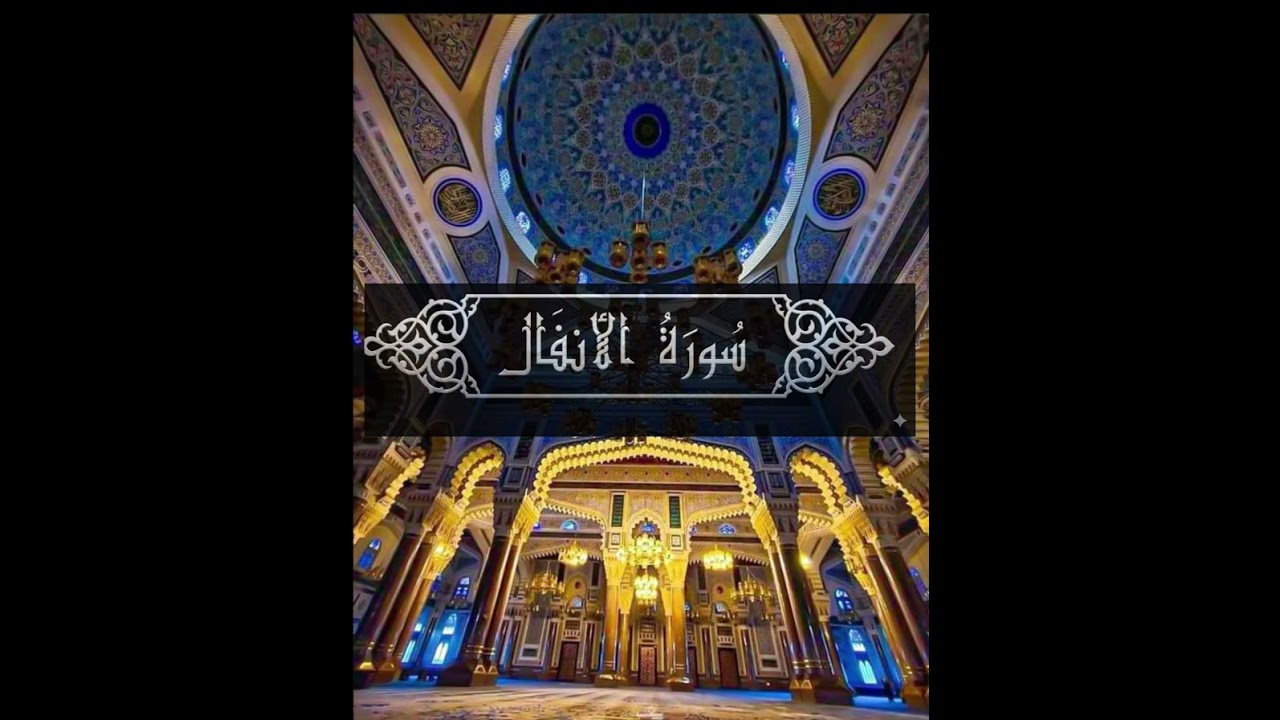 سوره الانفال كامله لى الشيخ يحيي القباطي 