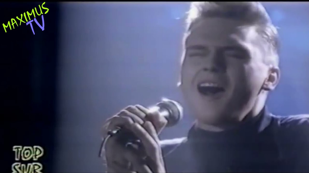 Halo James - Could Have Told You so