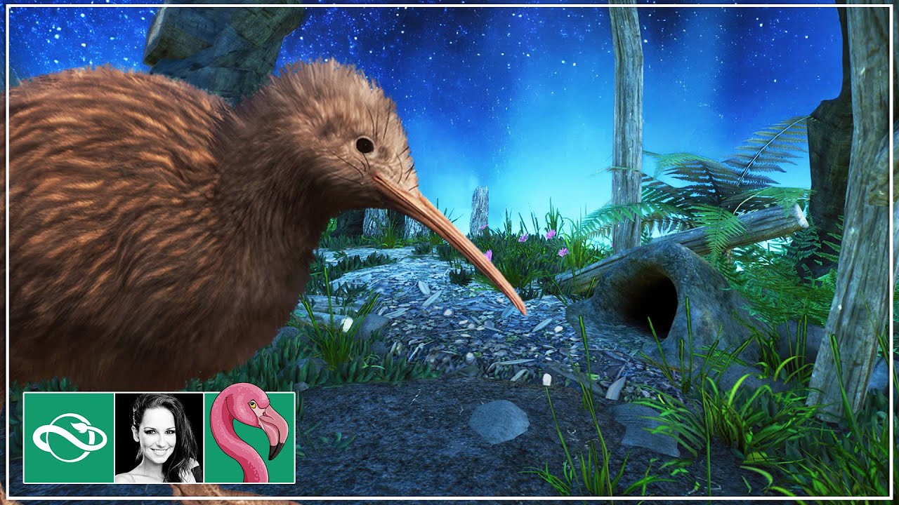 I Built a Beautiful Nocturnal House for a Kiwi Bird in Planet Zoo