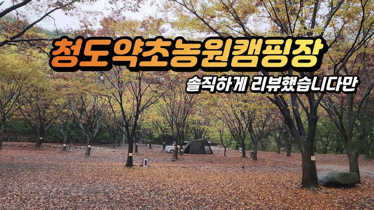 숨겨진 계곡 캠핑장 명당 찾기🔍 | 청도 약초농원캠핑장 솔직 리뷰! (A10 사이트 이용) 우중캠핑 2박 3일 🏕️