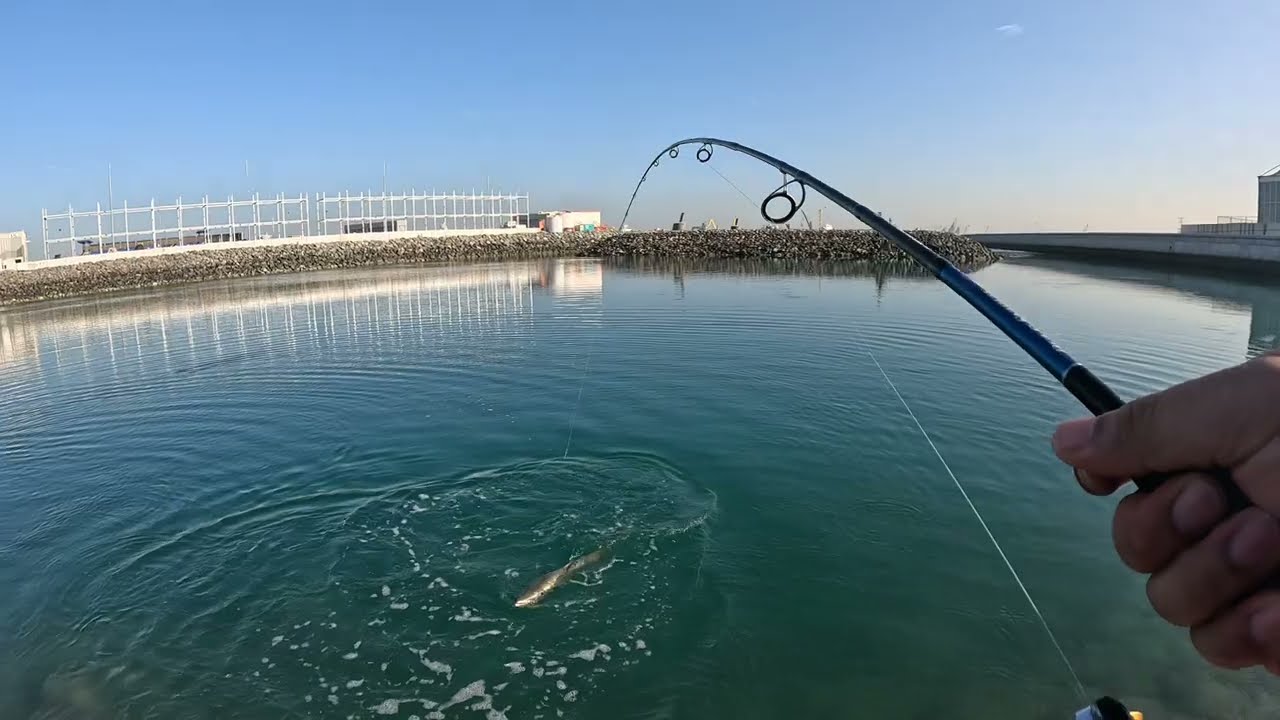 We Caught a 6 Foot Barracuda😲  fishin in Abu Dhabi 🇦🇪 | Shore Fishing