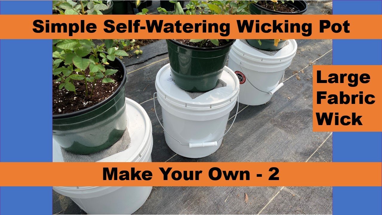 Simple DIY Self Watering Wicking Pot