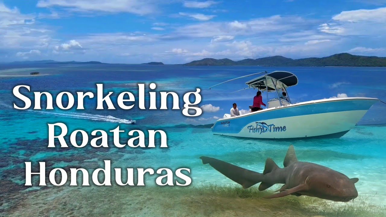 Snorkeling Roatan Honduras:  Pigeon Cay, March 2024