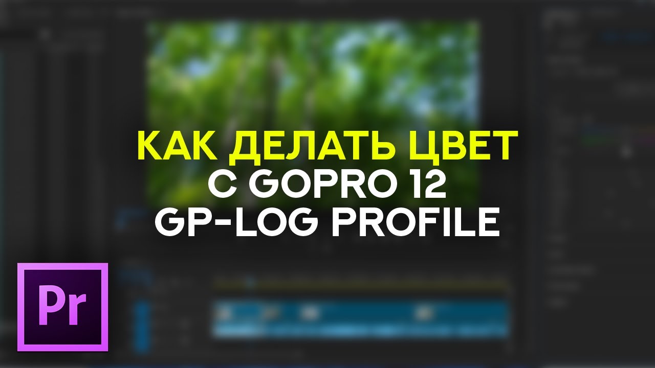 Как делать цвет с GoPro 12 GP-LOG Profile