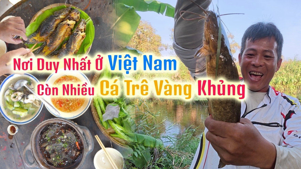 Vào Rừng Quốc Gia U Minh Hạ Câu Cá, Một Năm Mở Cửa Một Lần - Tập 53