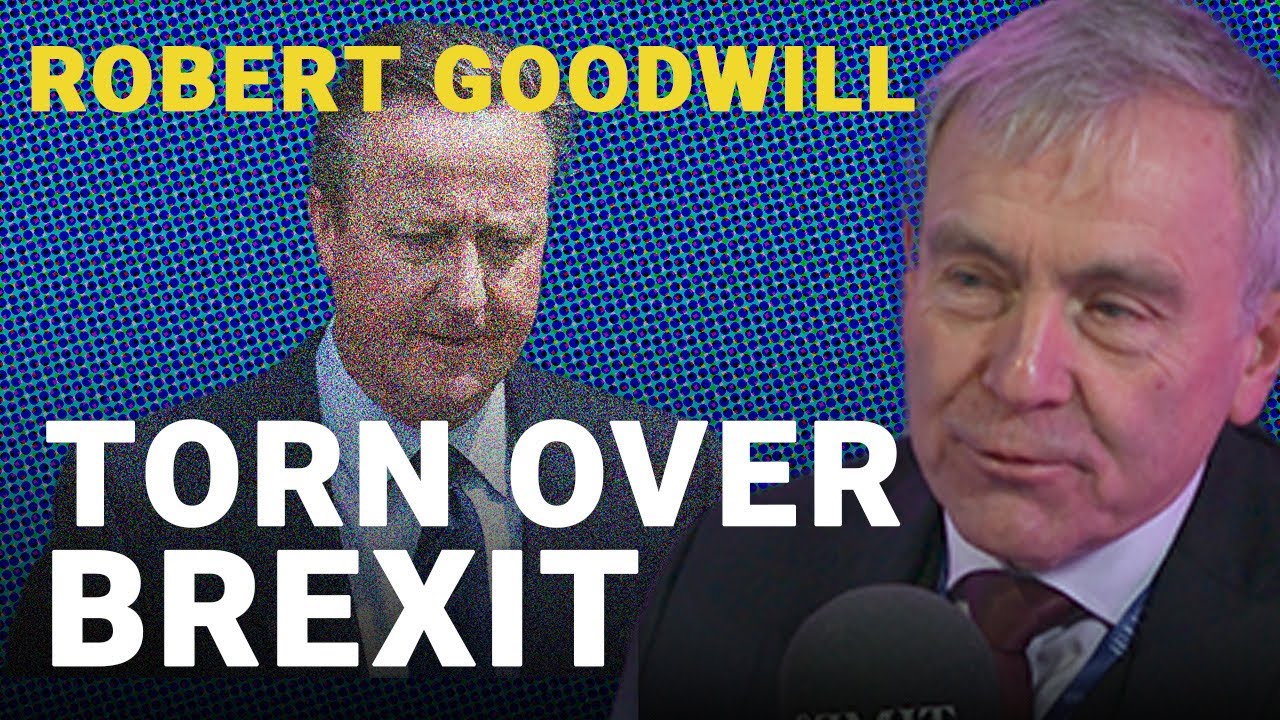Why I voted to Remain in the EU as a Eurosceptic | Exit Interviews