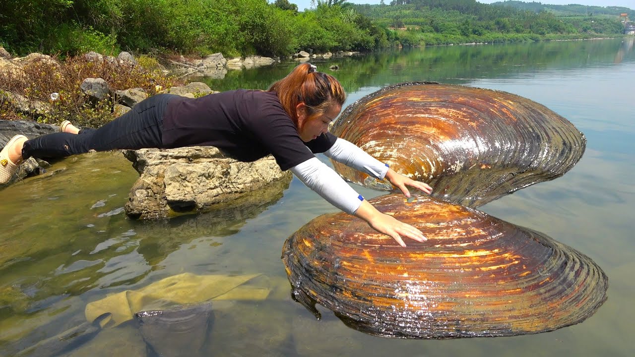 Pearl Madman searches for mussels hidden in fresh water and discovers rare colored pearls