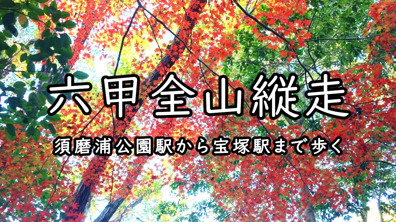六甲全山縦走　～須磨浦公園駅から宝塚駅まで歩く～
