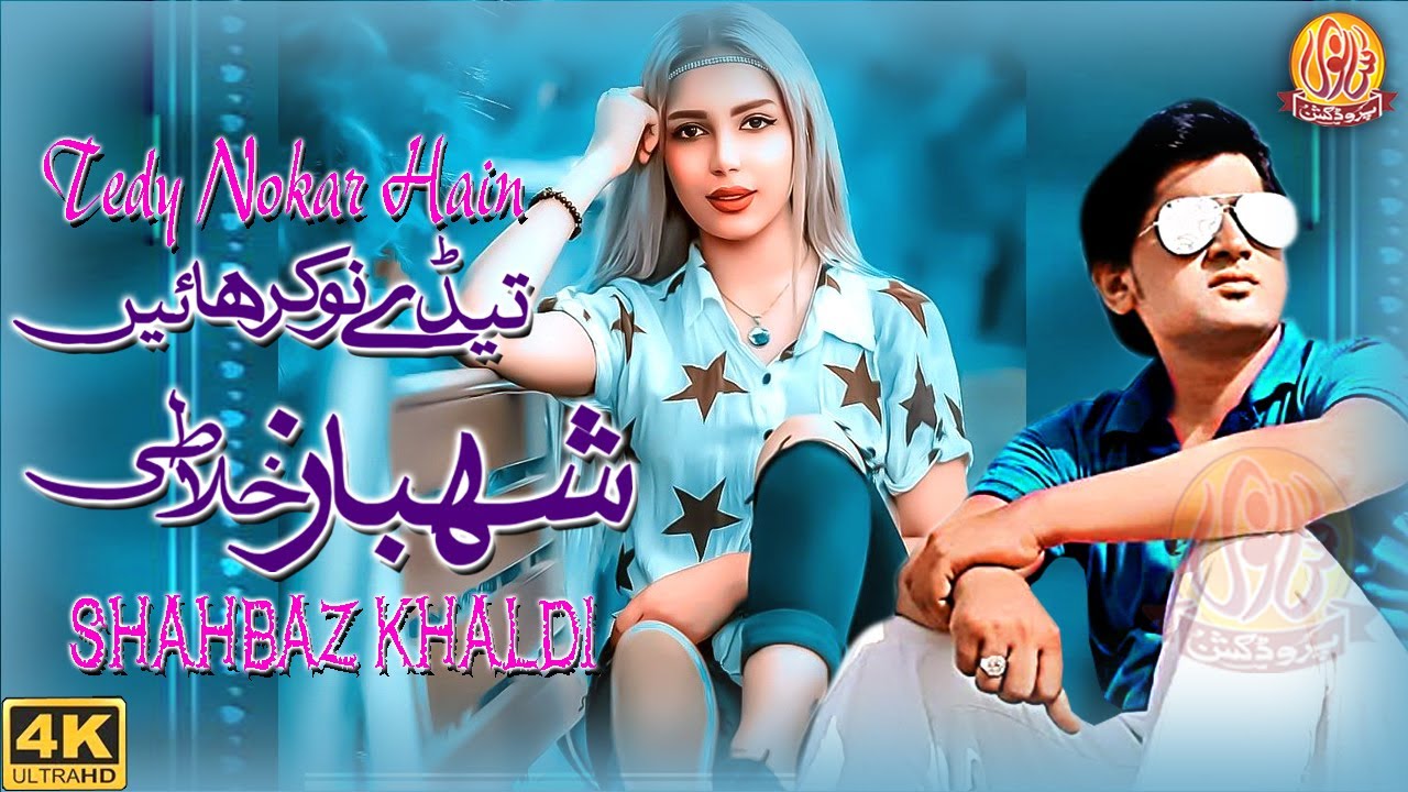 Teday Nokar Hai | Official Song | Shahbaz Khaldi | New Saraiki Punjabi Song 2021