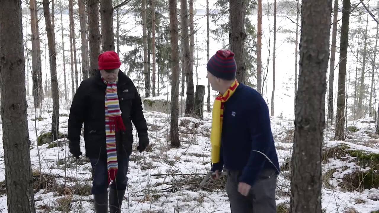Röjning skapar förutsättningar för lönsamt skogsbruk