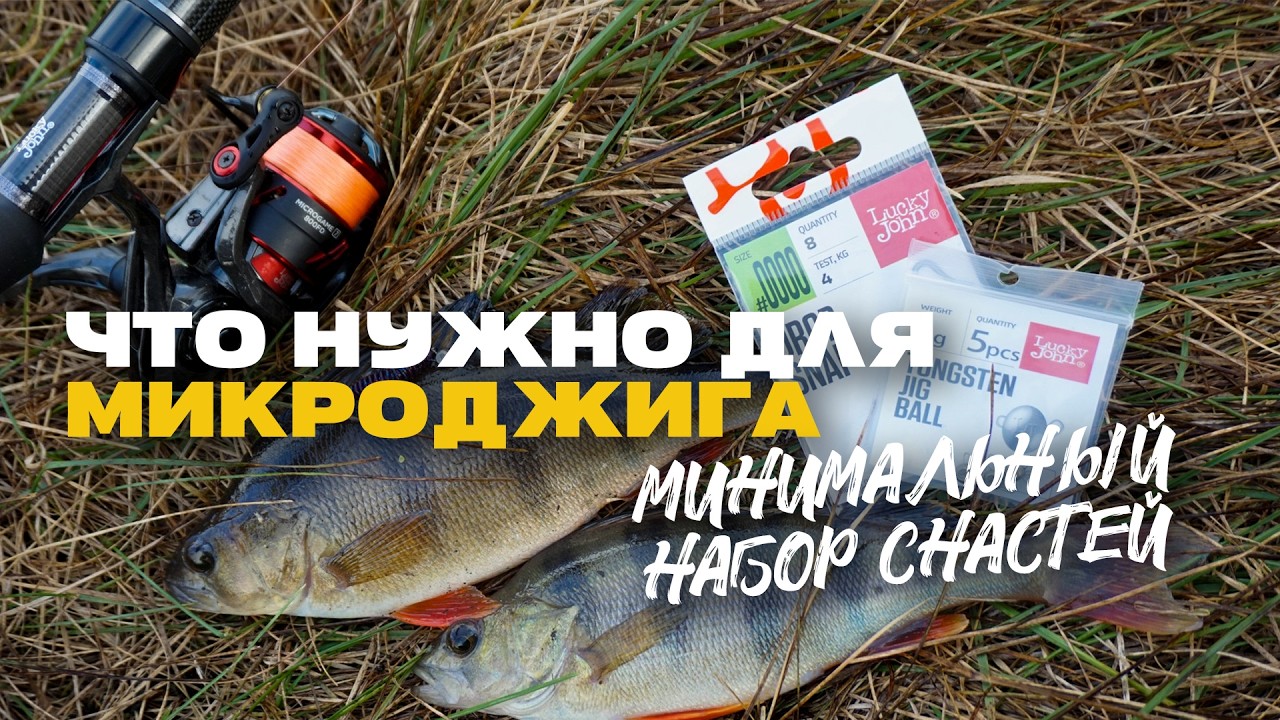 Микроджиг Минимальный Набор Снастей с Чего Начинать и Что Нужно
