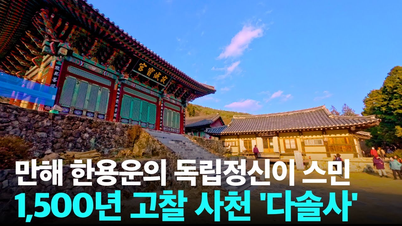 솔향과 차향, 그리고 독립의 숨결 | 사천 다솔사