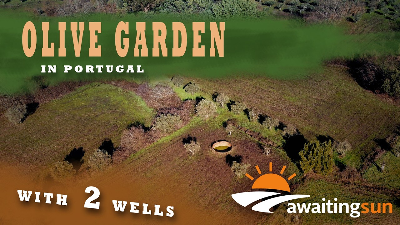 1 ha Rustic Land with 20 Olive Trees & 2 Wells in Casteleiro, Sabugal