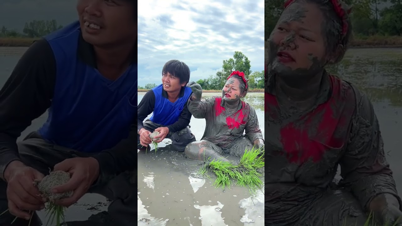 บอกให้เมียมาช่วยดำนาดูเมียทำสิ