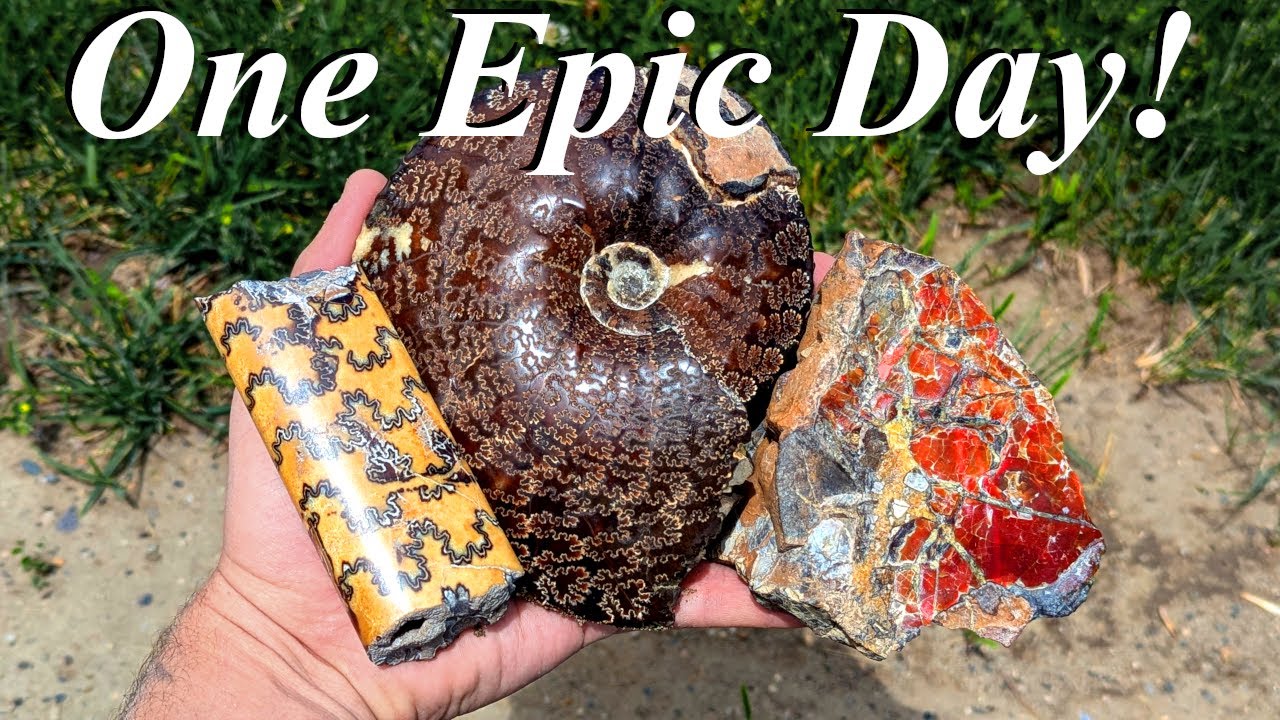 One of our Best Fossil Hunts Yet! Big Ammonite, Vivid Ammolite, Barite Crystals, & Baculites Galore!