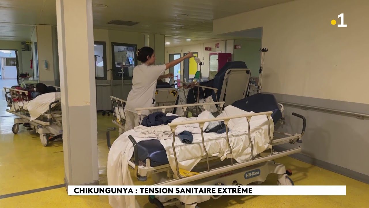 Epidémie de chikungunya à La Réunion : immersion au CHU Nord, où le plan blanc est en vigueur.