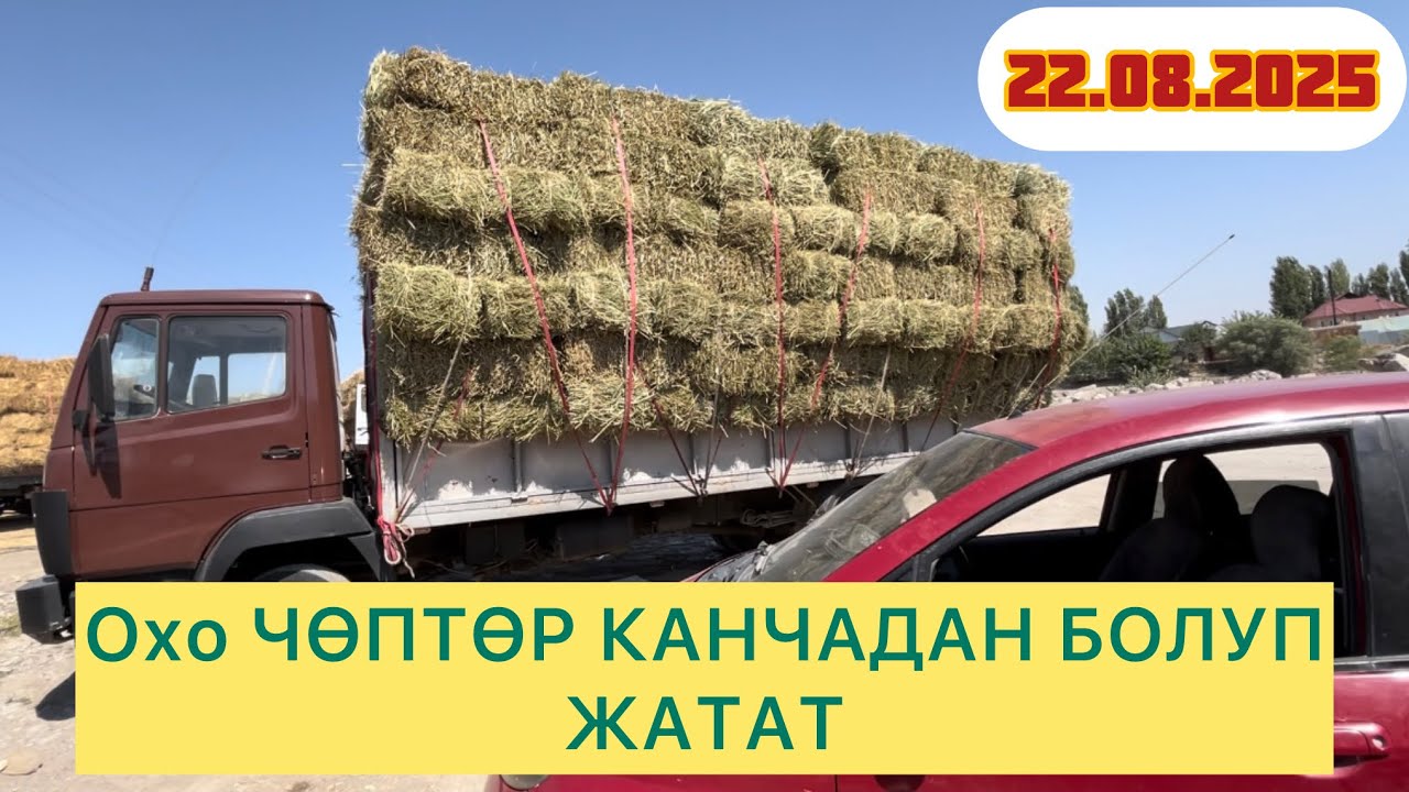 Беде, ЧӨП, ЖАЛА-Абад ПУЛДАРЫ КАНДАЙ?