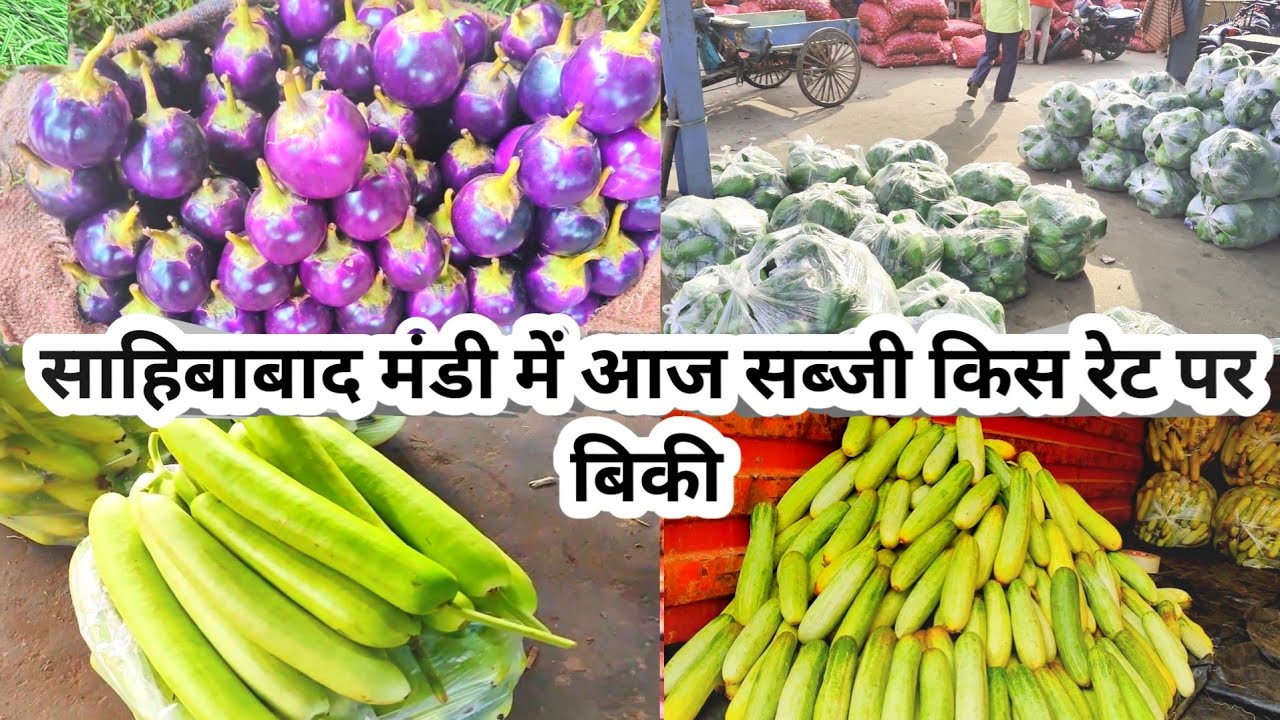साहिबाबाद सब्जी मंडी आज के क्या भाव रहे सब्जी के देखो |#sabjimandi #azadpurmandi #todayrate #fruit