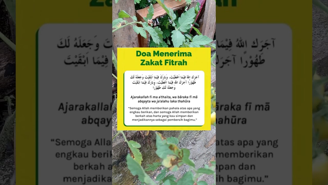Doa Menerima Zakat Fitrah