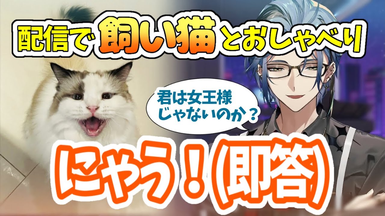 ネコちゃんとオフコラボ！小さな女王様にメロメロなヘックス【Hex Haywire/切り抜き/日英字幕】