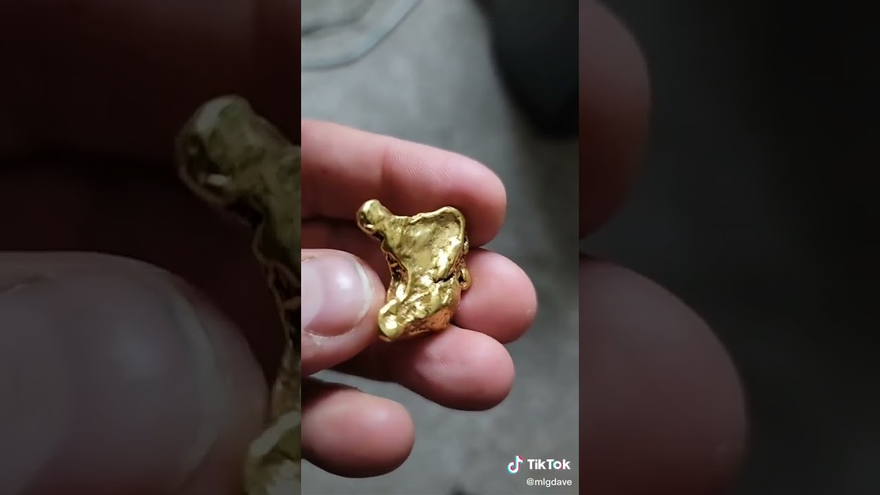 Canadian Yukon Gold Nugget #shortsvideo #shorts