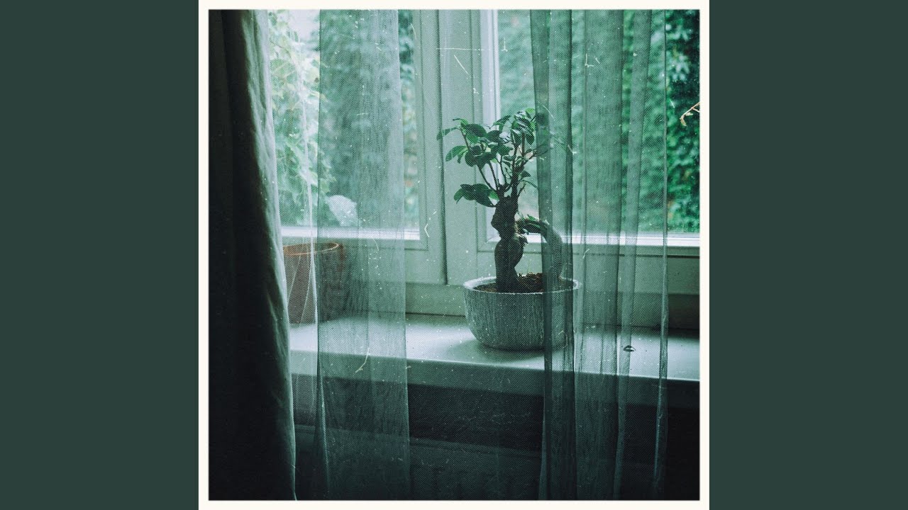 improvisation de bonsaïs n° 2