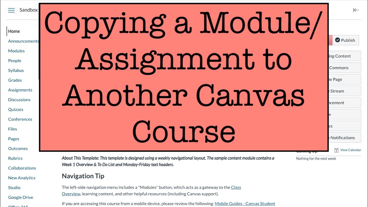 Copy A Module or Content to Another Course