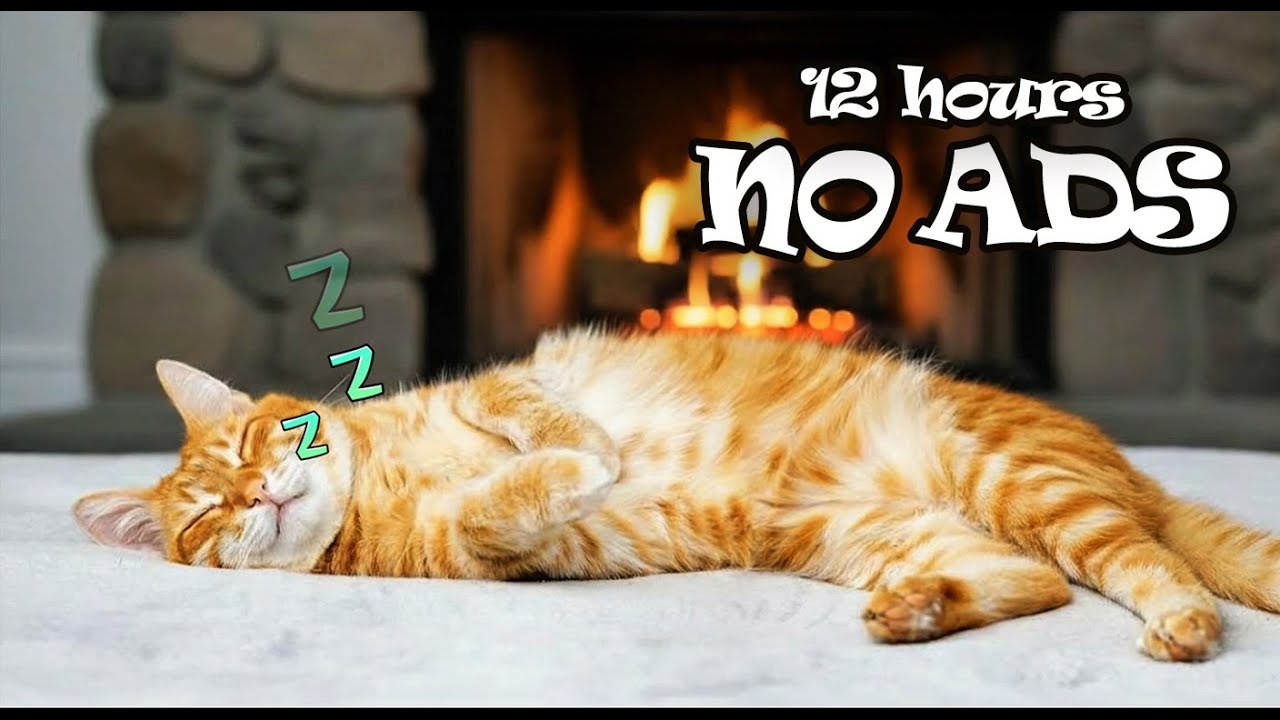 12 Hours of Piano Music for Cats Fall Sleep In 3 Minutes NO ADS  🎹 Calm & Relaxing Cat Music