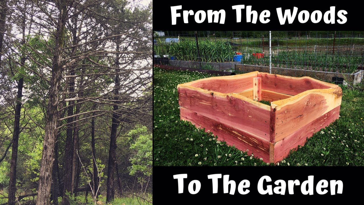 Cedar Raised Bed - From The Woods To The Garden | Woodland Mills Sawmill
