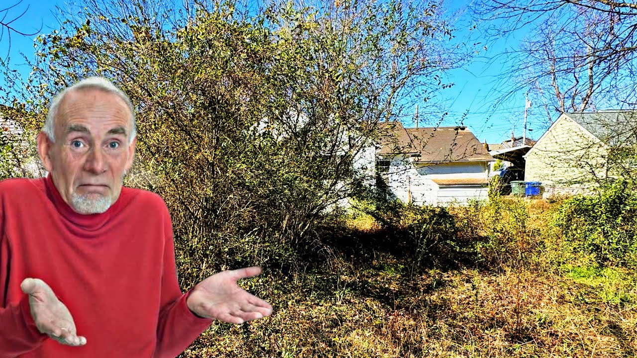 His Lawn Was Driving the Neighbors Crazy… So I Helped