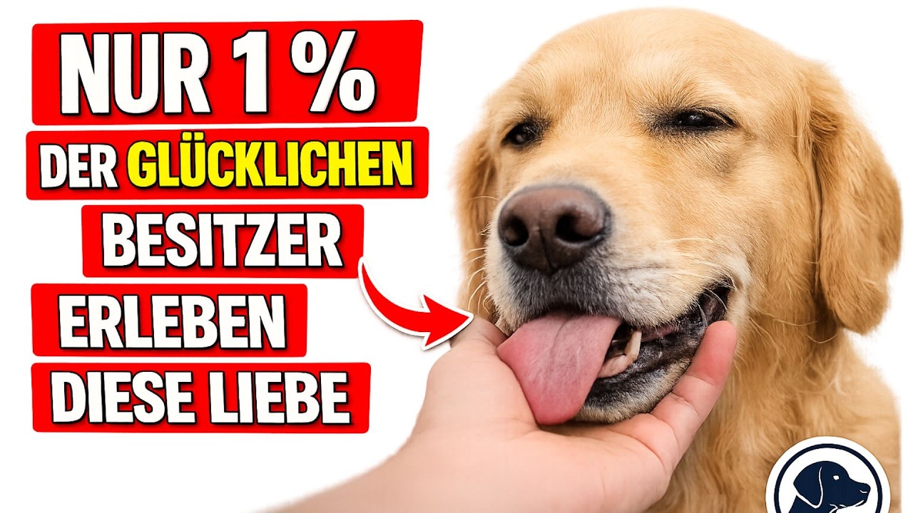 10 seltene Verhaltensweisen, die Hunde NUR zeigen, wenn sie dich lieben