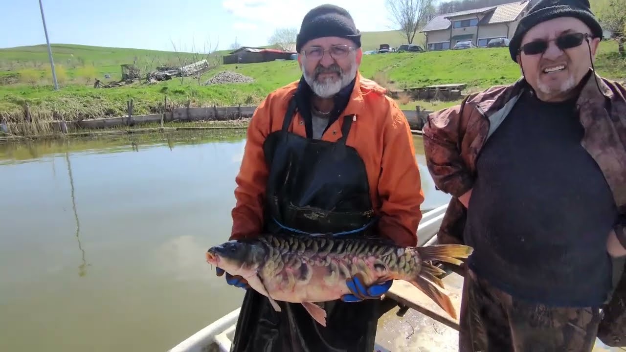 CEI MAI MARI PEȘTI PENTRU BECIUL DE LA CĂSUȚA DIN PĂDURE🐟🐟