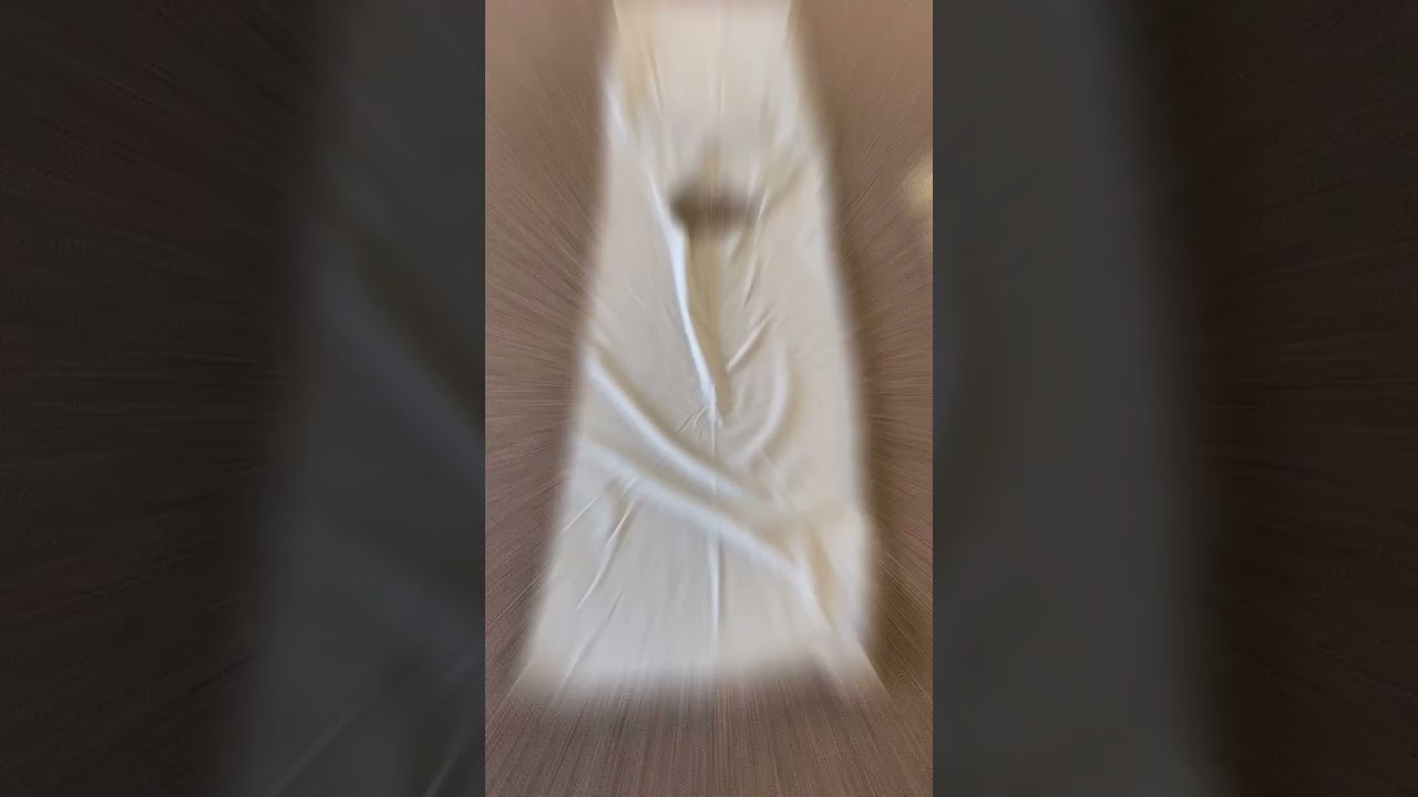 DIY Bible Costume