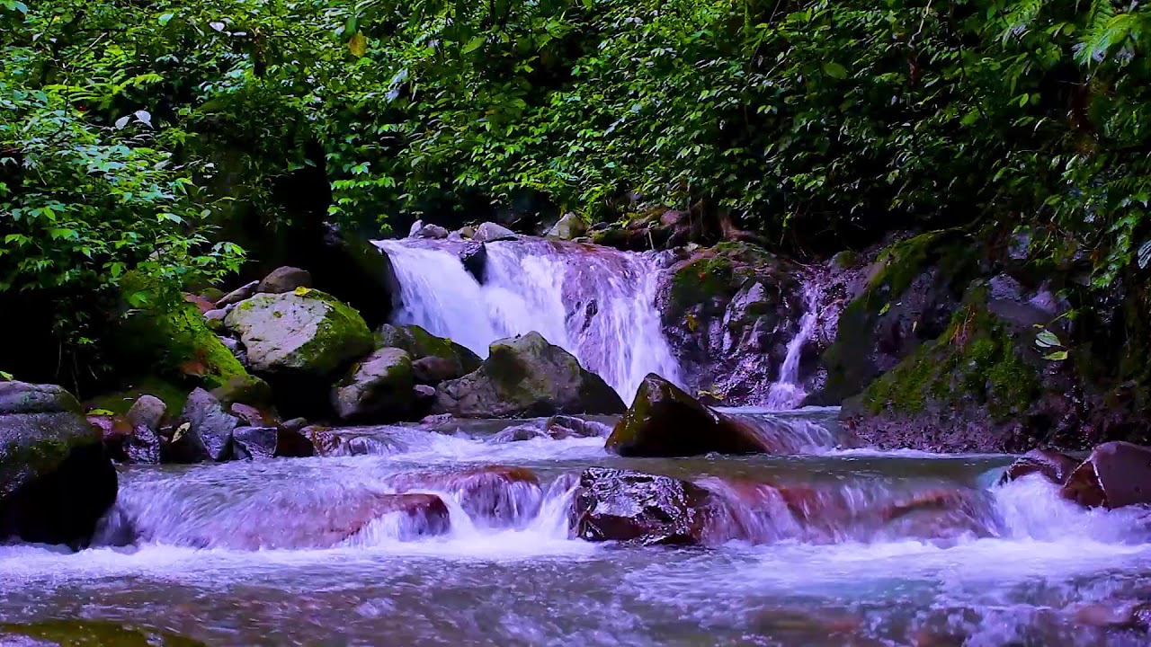 Deep Forest Mountain Creek | Relaxing Water White Noise to Help You Sleep Fast