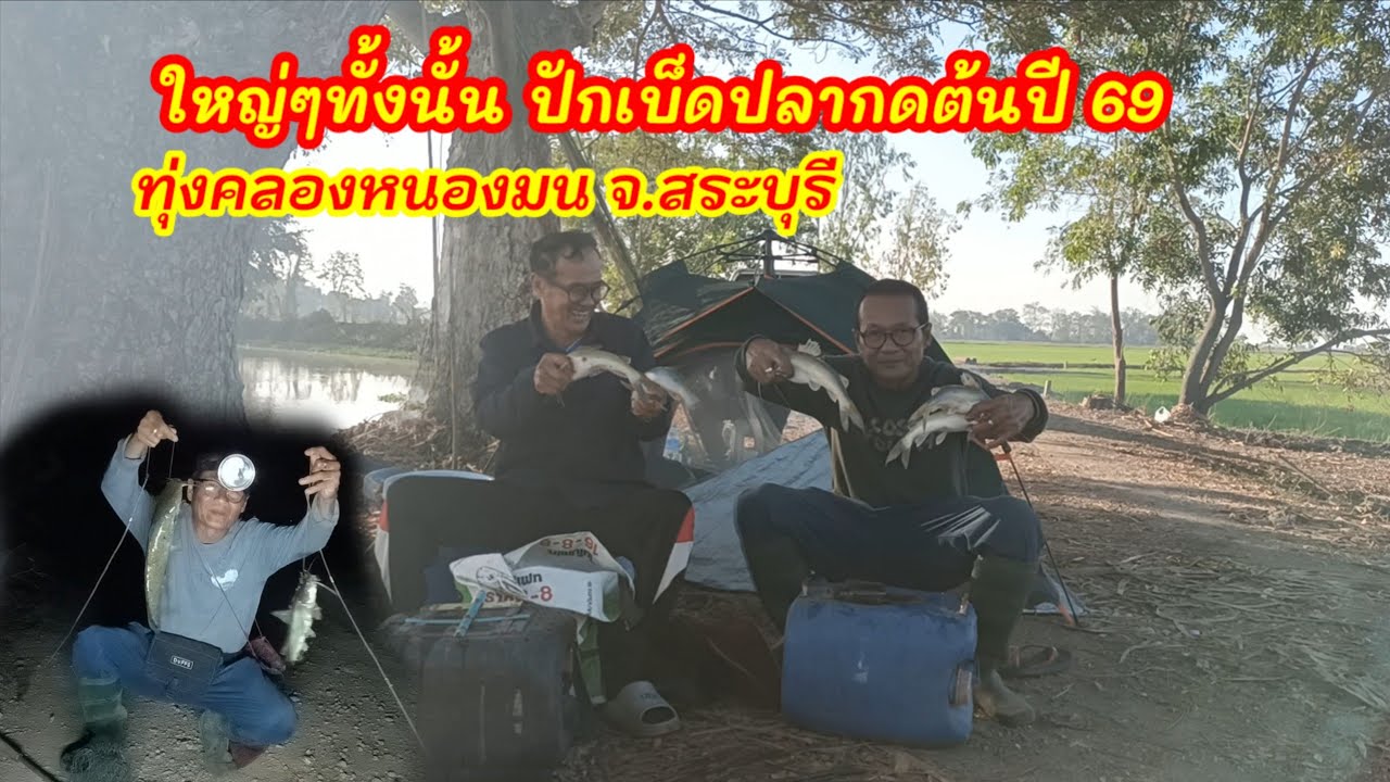 นอนค้างคืนปักเบ็ดปลากด แต่ละตัวไซส์บิ๊กๆ ฤดูกาลแรกของปี69 ต้องเหยื่อลูกปลา ทุ่งคลองหนองมน จ.สระบุรี
