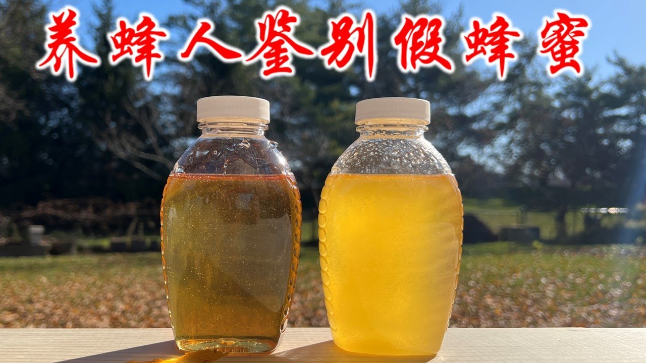 假蜂蜜怎么鉴别？养蜂人来告诉你