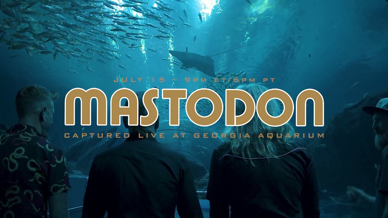 Mastodon Live Performance Experience At Georgia Aquarium