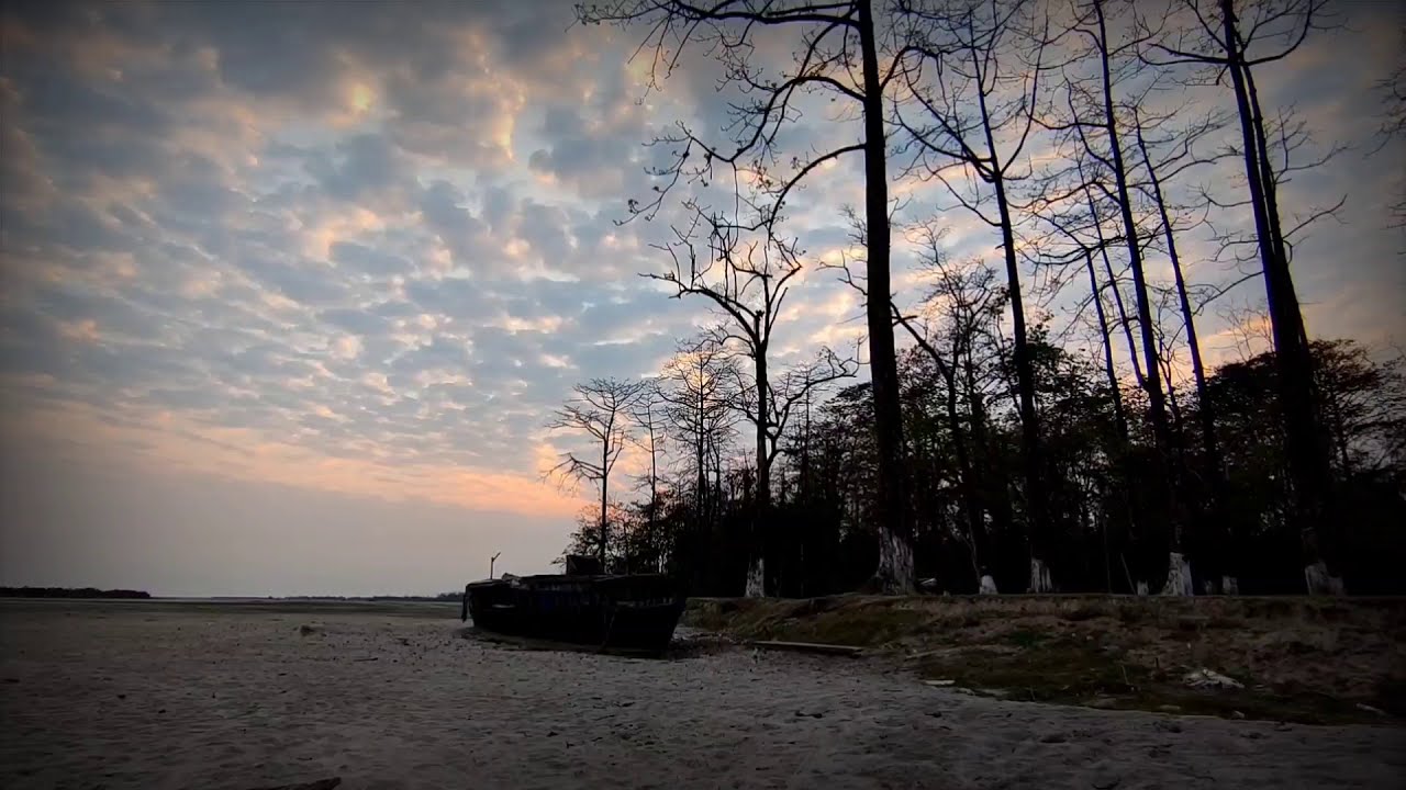 short cinematic video from || Poba reserve forest