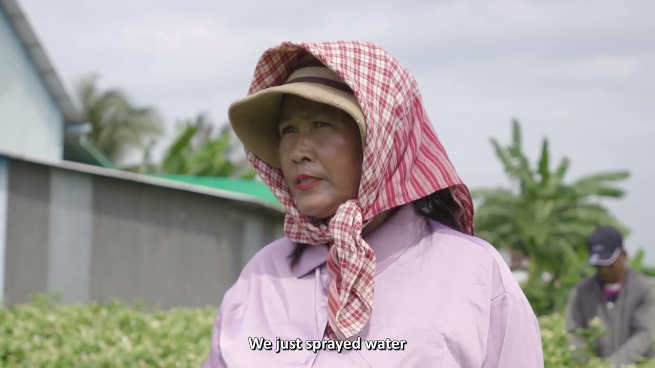របរដាំផ្កាម្លិះ