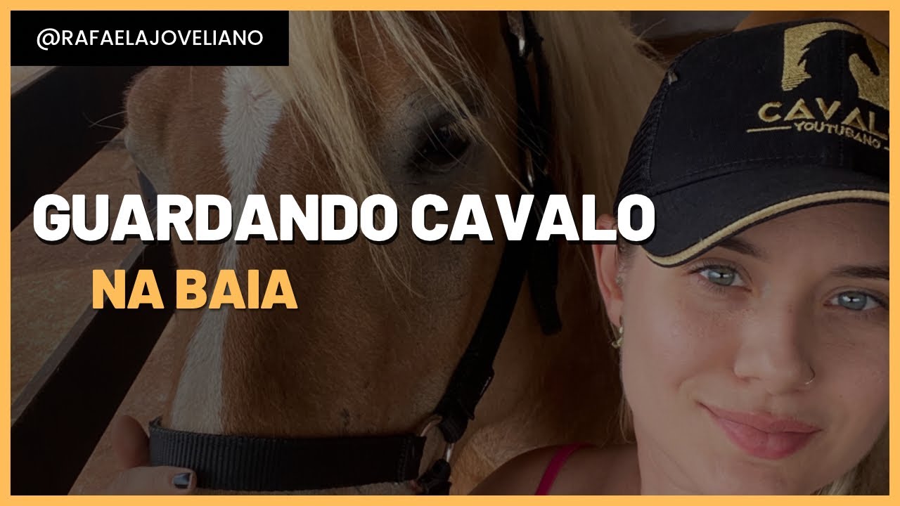 Como guardar seu cavalo na baia | M.V Rafaela Joveliano ensina