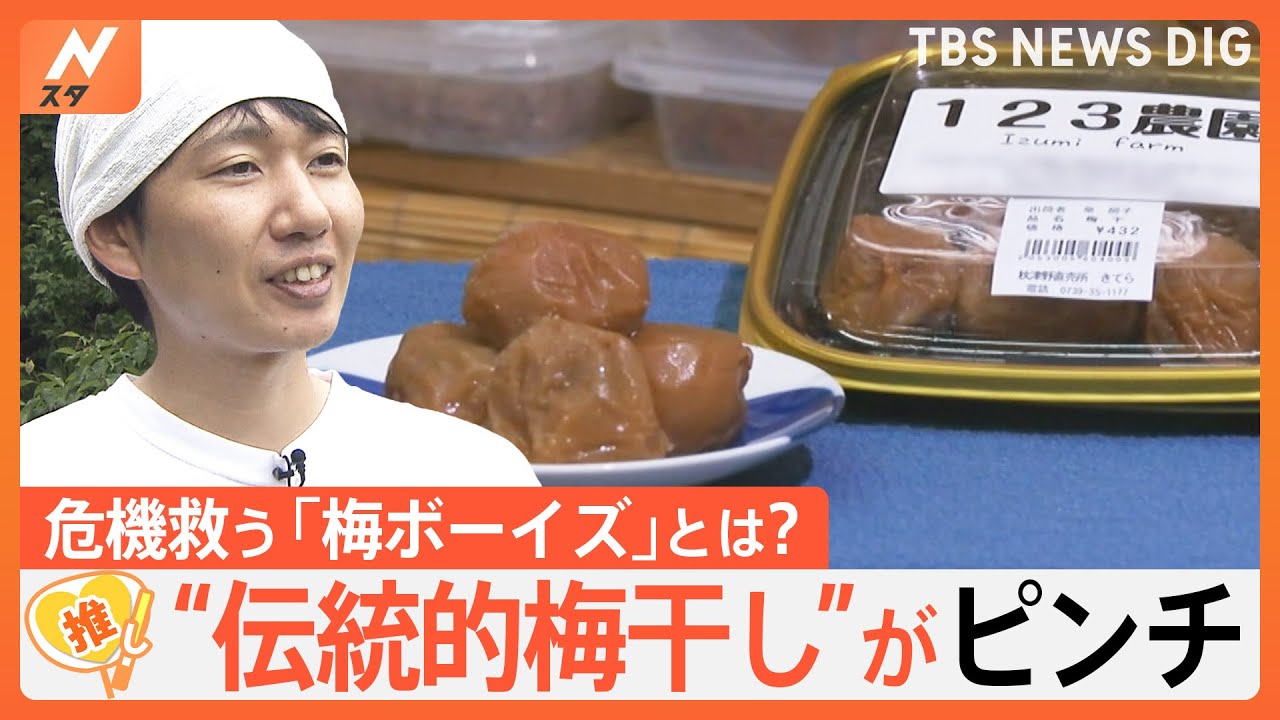 “伝統的梅干し”がピンチに、日本一の梅産地で立ち上がった「梅ボーイズ」とは？【ゲキ推しさん】｜TBS NEWS DIG