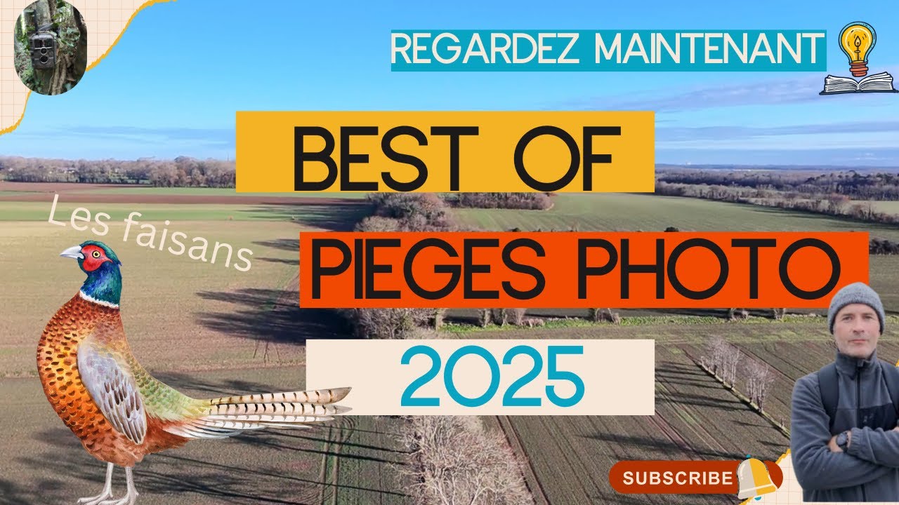 BEST OF 2025 d'observations de la faune sauvage à l'aide de caméras pièges photo :  les faisans