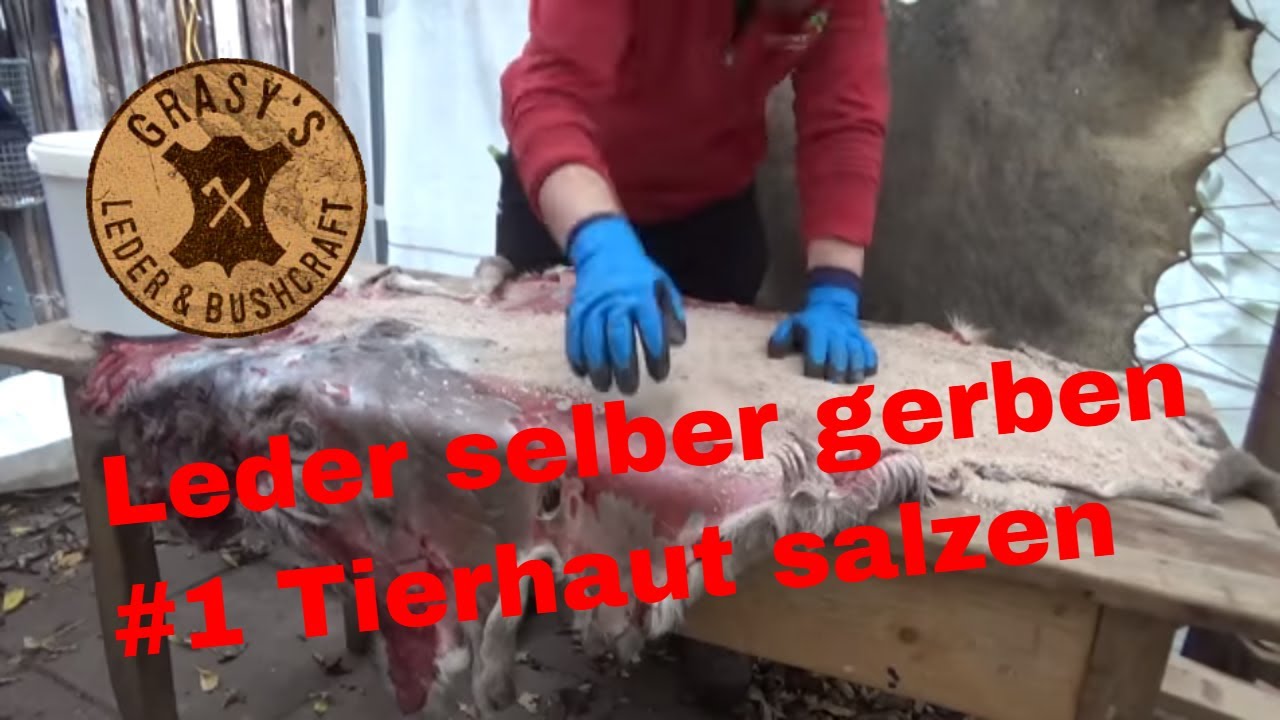Leder selbst gerben #1 Tierhaut salzen