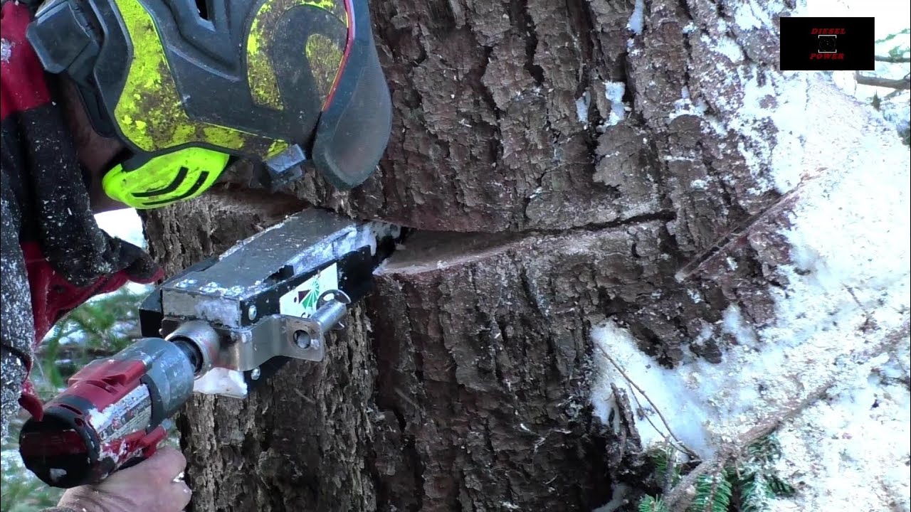 Chainsaw Compilation 》 ValFast 》 Nie mehr ohne unseren F&auml;llkeil 》 Nie Stil_los in den Wald 》BaSt-Ing