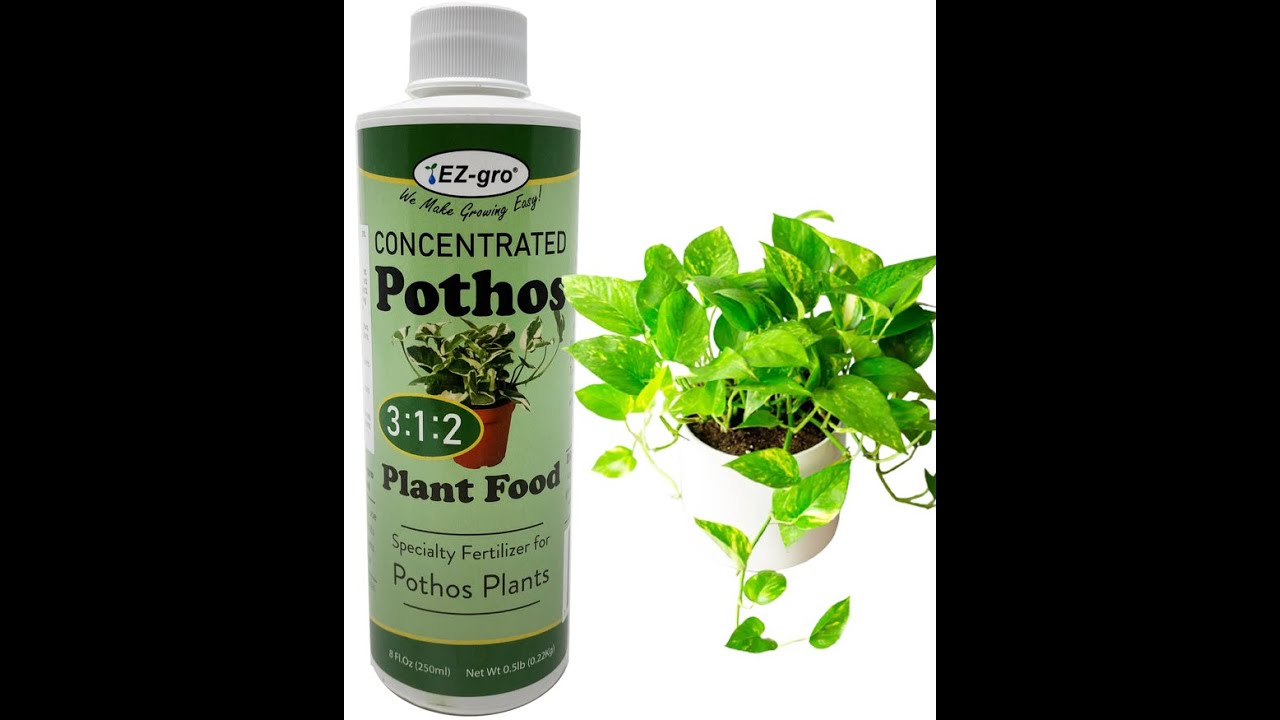 EZ-gro Pothos Plant Fertilizer - Specialty Fertilizer for Pothos Plants