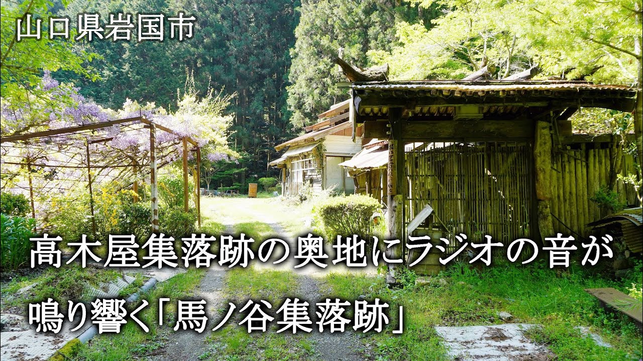 山口県岩国市　高木屋集落跡の奥地にラジオの音が鳴り響く「馬ノ谷集落跡」