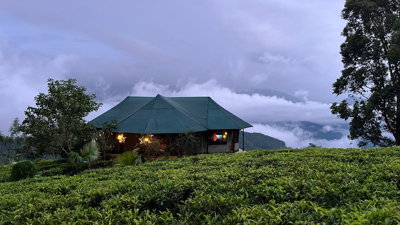 Madulkelle Tea and Eco Lodge