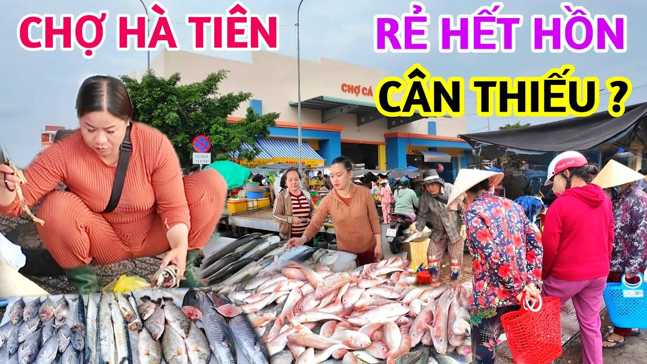 CHỢ HÀ TIÊN ĐẦU NĂM 2026 GIÁ HẢI SẢN RẺ HẾT HỒN CÓ CÒN CHẶT CHÉM, LỪA ĐẢO KHÁCH DU LỊCH HAY KHÔNG ?