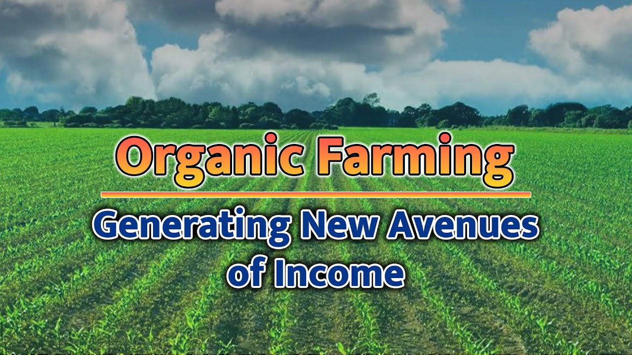 Organic Farming | Offering Huge Benefits to Farmers