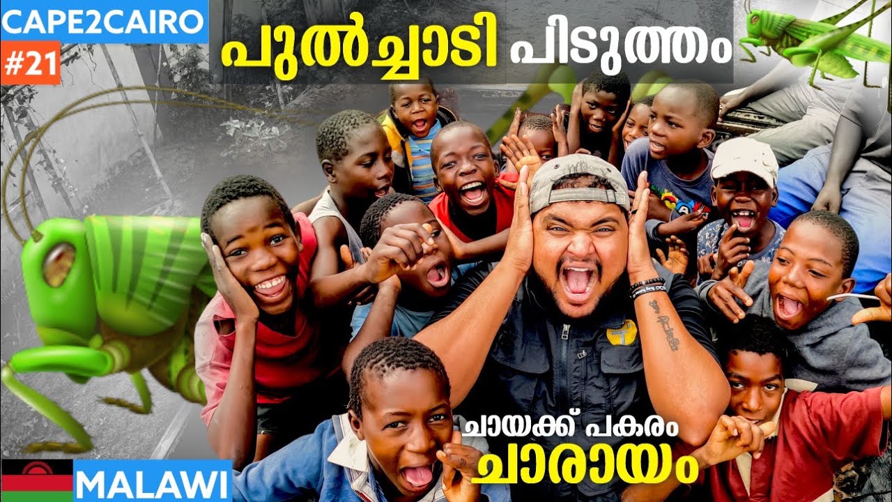 EP#21 🇲🇼GRASS-HOPPER HUNTING | കുട്ടികൾക്ക് ചാരായം കൊടുക്കുന്ന ആഫ്രിക്കൻ ജനത | CAPE TO CAIRO |